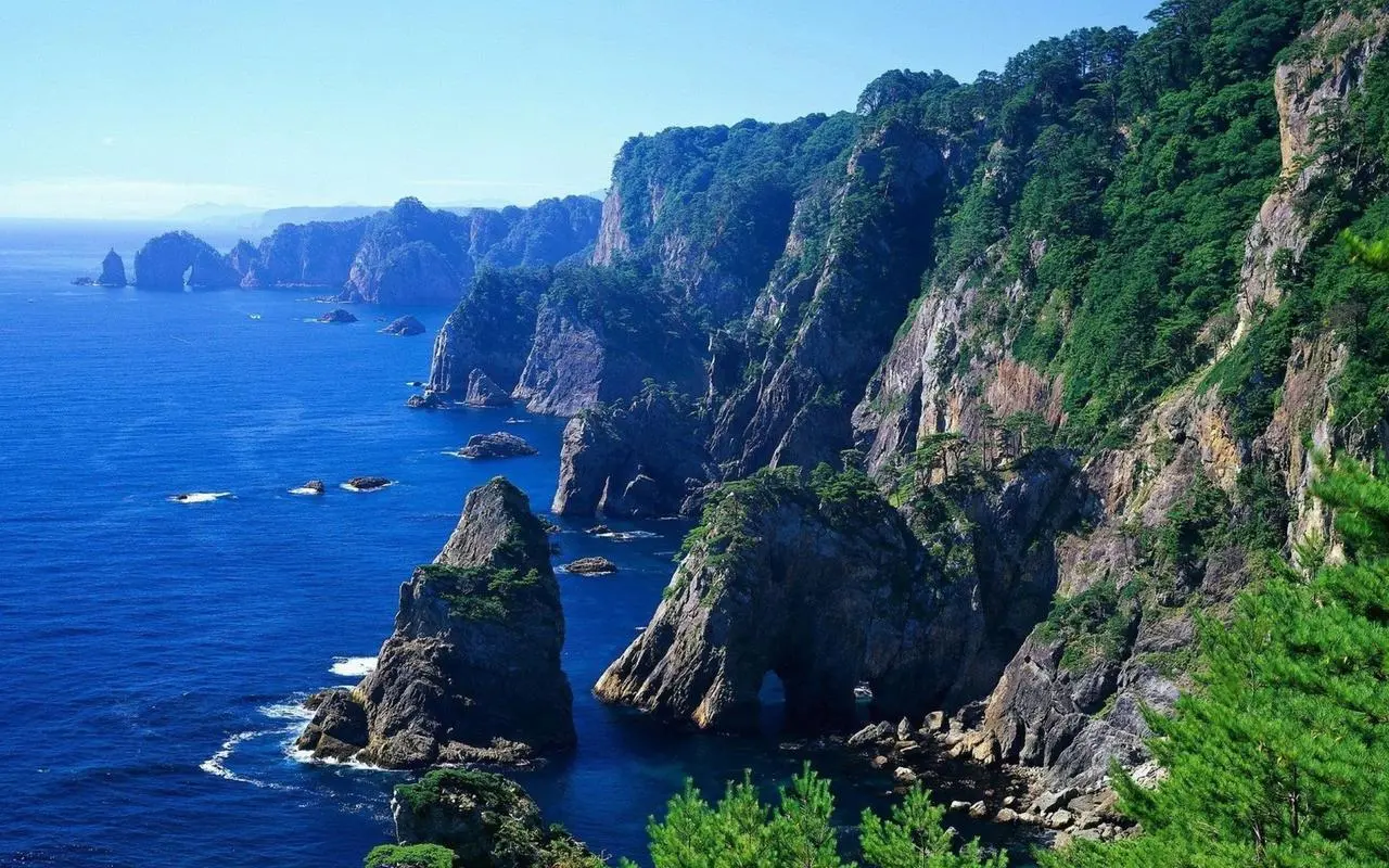 绿色高标准自动化
